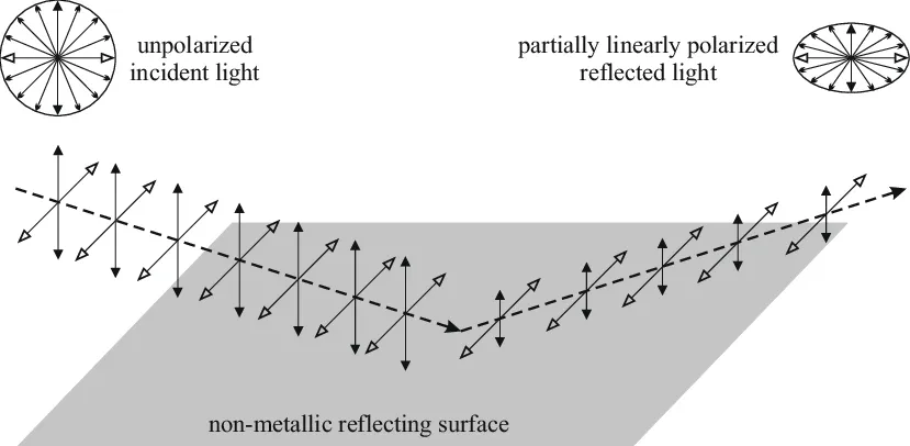Polarization of light by reflection off a water surface.